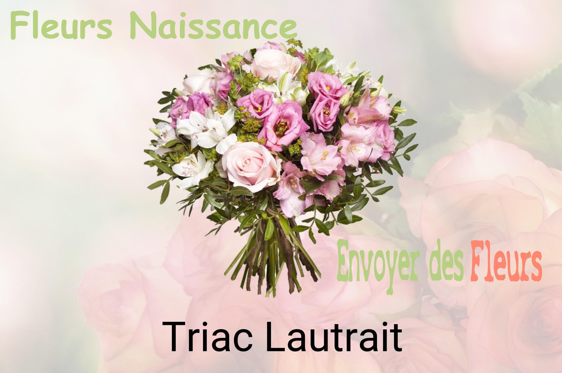 Bouquet de fleurs de naissance livré à Triac-Lautrait