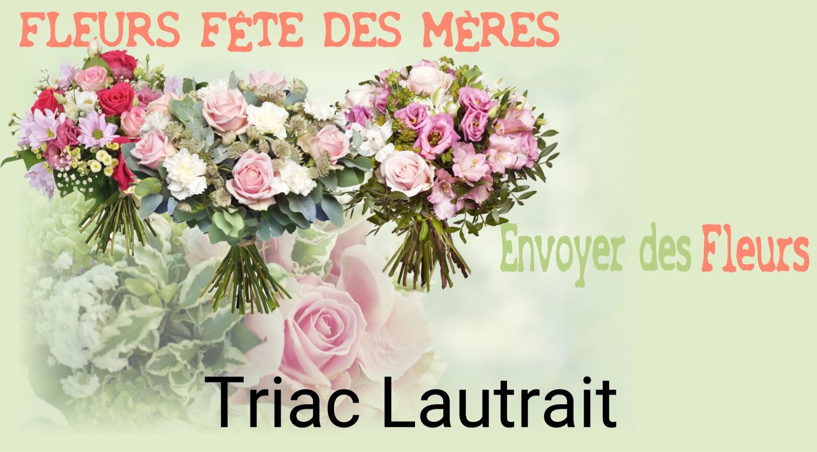 Bouquet de Fête des Mères livré à Triac-Lautrait